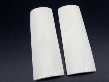 Stabilisierte Büffelknochen - Platten Paar weiß